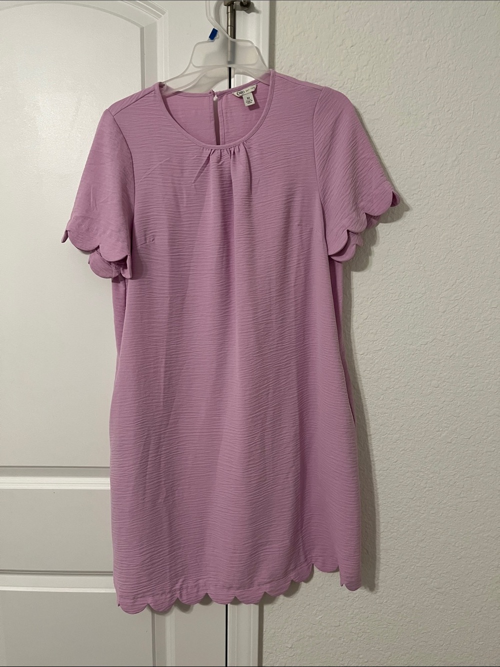 Cato Lilac Scallop-Trim Short Sleeve Shift Dress